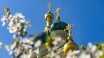 Госсовет Крыма призвал международные организации остановить атаку на православие на Украине