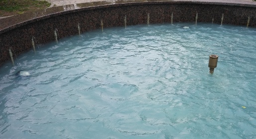 Фонтаны в Симферополе почистили и добавили химикатов для голубизны воды (ФОТО, ВИДЕО)