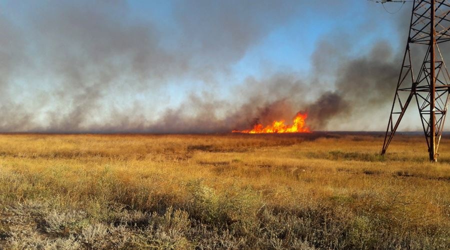 Наивысший уровень пожарной опасности объявлен в Ялте и Евпатории