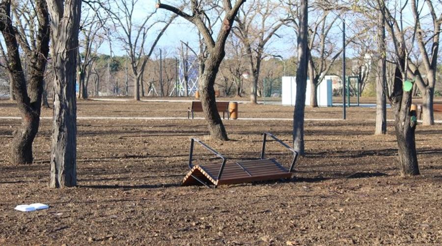 Вандалы похитили около 30 кустов можжевельника из нового парка Учкуевка в Севастополе
