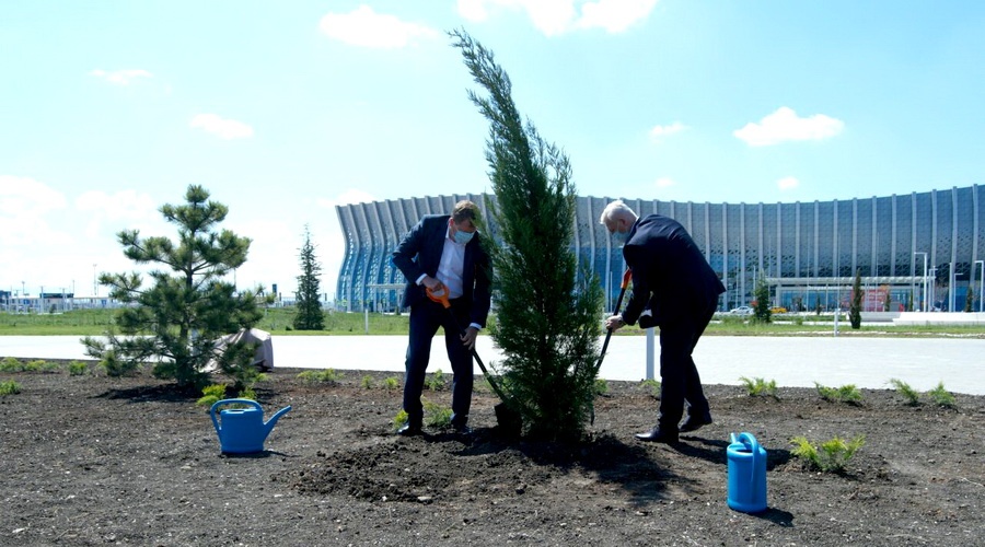 Около 200 деревьев и кустарников высадили в аэропорту Симферополя в честь юбилея Победы