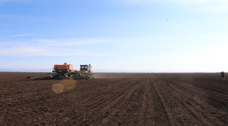 Крым начал сев ранних зерновых и зернобобовых