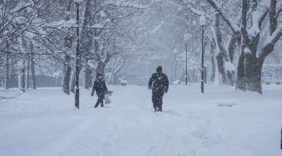 Мороз и снег ожидаются в Крыму 12 января