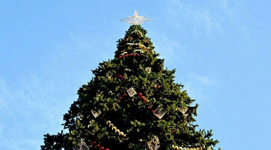 Севастополь объявил 31 декабря выходным днем