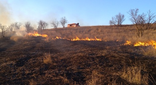 Почти 2,5 тыс квадратных метров сухостоя сгорело в Крыму за последние три дня