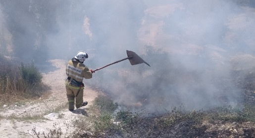 Крымские пожарные с начала месяца потушили сотню возгораний сухой травы