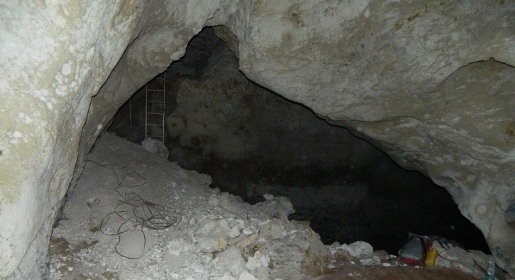 КФУ создаст новый туристический объект на базе найденной пещеры с останками древних животных
