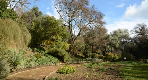 Студенты смогут бесплатно посетить Никитский ботанический сад в Татьянин день