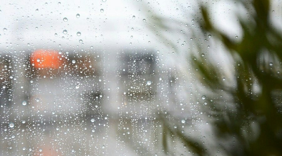 Дожди и сильный ветер ожидаются в Крыму 22 ноября