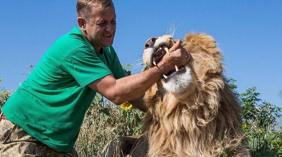 Ветеринары рассказали об очередном факте нападения животного на туриста в зоопарке Зубкова