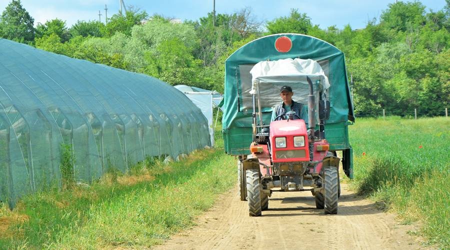 Минсельхоз Крыма выделил на новую грантовую поддержку аграриев почти 40 млн рублей