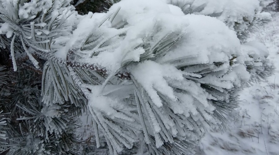 В понедельник в Крыму до 10 градусов мороза, снег