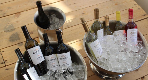 In vino veritas в Коктебеле: для гостей фестиваля приготовили 20 тысяч литров вина (ФОТО)