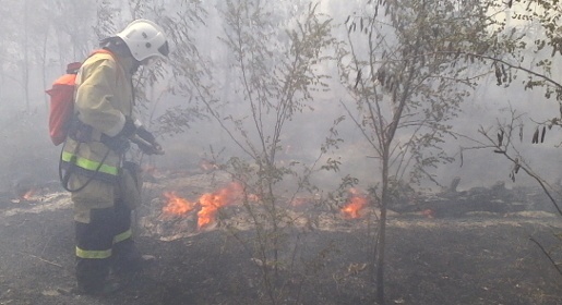  Крымские пожарные на выходных потушили почти 50 возгораний сухостоя (ФОТО)