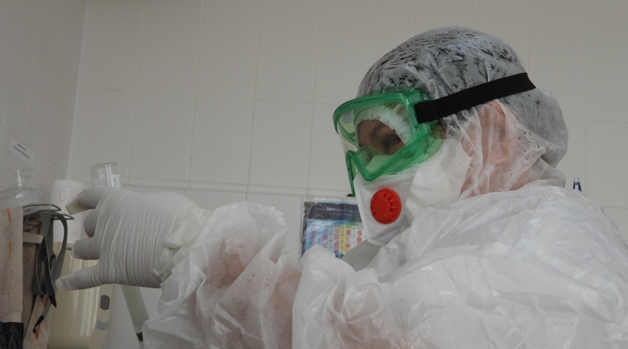 В Крыму зарегистрировано почти 400 случаев коронавируса за сутки