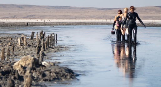 В грязь Чокракского озера зароют более 3 млрд руб