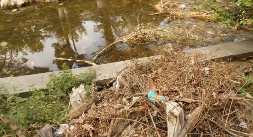 Минэкологии Крыма проконтролирует уборку мусора на симферопольской набережной (ФОТО)