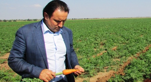 Крымский рынок продовольствия полностью обеспечен сельхозпродукцией - министр сельского хозяйства республики