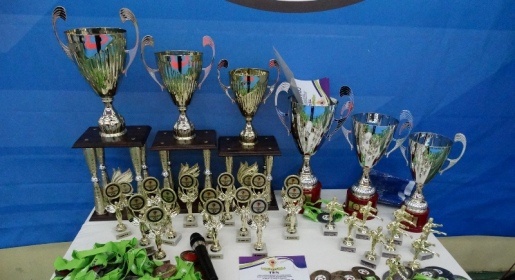 В Симферополе с участием каратистов из Украины и России проходит традиционный Кубок «ТЭС» (ФОТО)