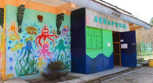 Разноцветные дискусы и нарядные цихлазомы пополнили отремонтированный аквариум Детского парка Симферополя (ФОТО)