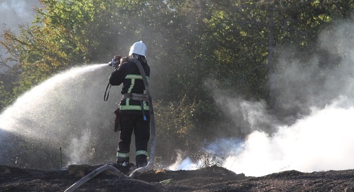 Севастопольские пожарные ликвидировали возгорание леса возле аэродрома Бельбек (ФОТО, ВИДЕО)