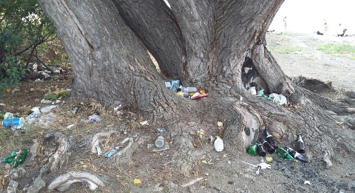Общественники возмущены мусором на территории Симферопольского водохранилища