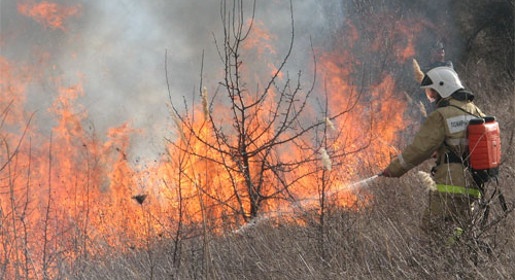 Крымские пожарные ликвидировали лесной пожар в районе хребта Тепе-Оба