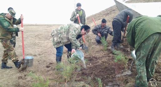 Сотрудники крымских лесничеств высадили сотню туй у мемориала «Курган славы» на Долгоруковской яйле