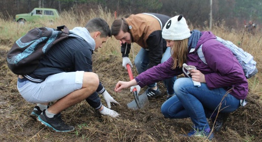 Участники субботника по озеленению и уборке высадили в ландшафтно-рекреационном парке «Битак» 600 деревьев (ФОТО)