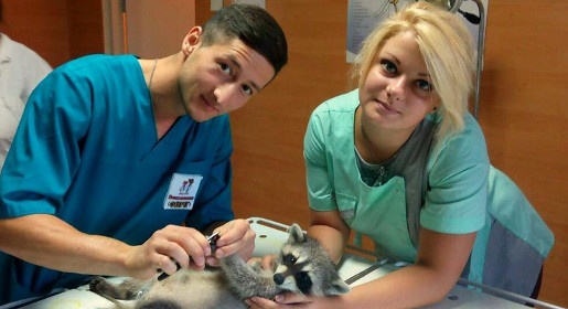 Центр ветеринарной медицины будет создан при Крымском федеральном университете