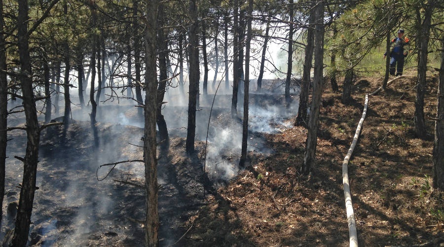 Спасатели потушили лесной пожар вблизи Судака