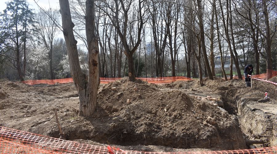 Деревья взамен снесенных из-за строительства коллектора высадят в Симферополе осенью