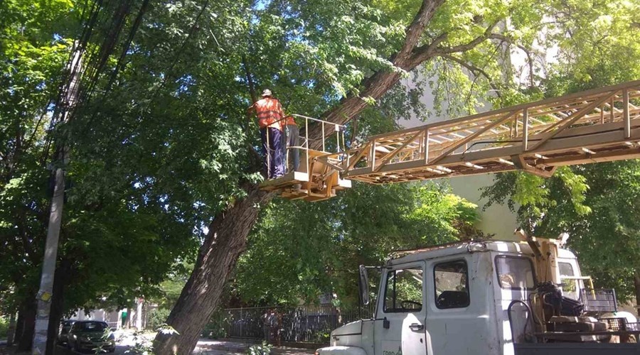 Сотрудники симферопольского «Города» провели обрезку деревьев на десятке улиц