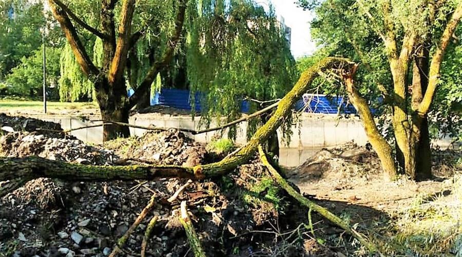 Оставленные по просьбе общественников деревья на набережной Салгира в Симферополе не выдержали ветра