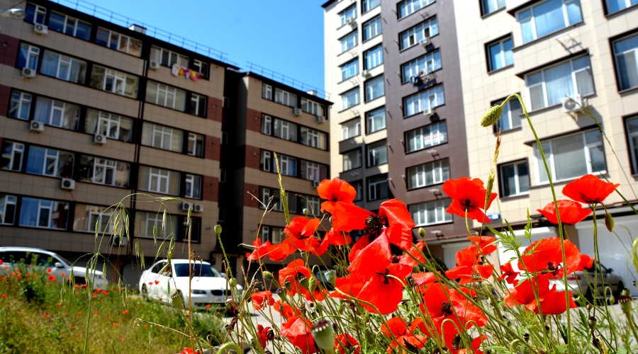 Управляющие компании Симферополя доложат о состоянии каждого многоквартирного дома
