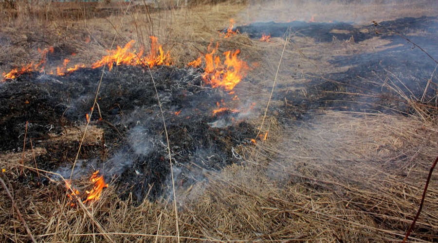 Крымские пожарные ликвидировали очередное крупное возгорание сухостоя