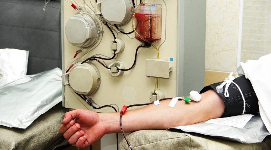 Контроль качества донорской крови будет ужесточен в России