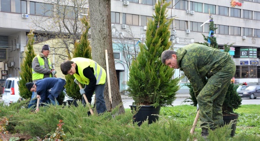 Более 40 деревьев из краснодарского питомника украсили Екатерининский сад в Симферополе