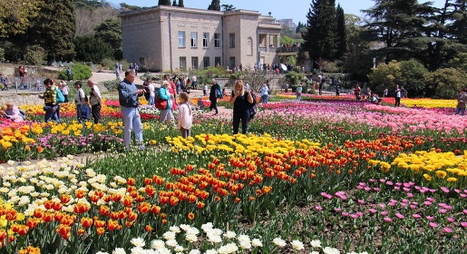 Парад тюльпанов открылся в Никитском ботаническом саду