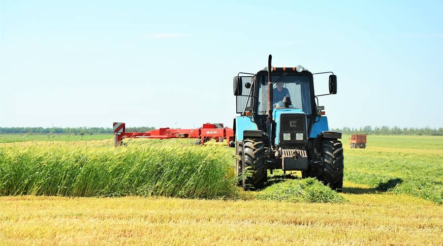 Аграрии Крыма намолотили более 1,7 млн тонн зерна
