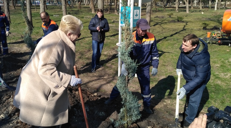 Более 40 новых деревьев и кустарников высадили в главном парке Симферополя в честь пятилетия референдума
