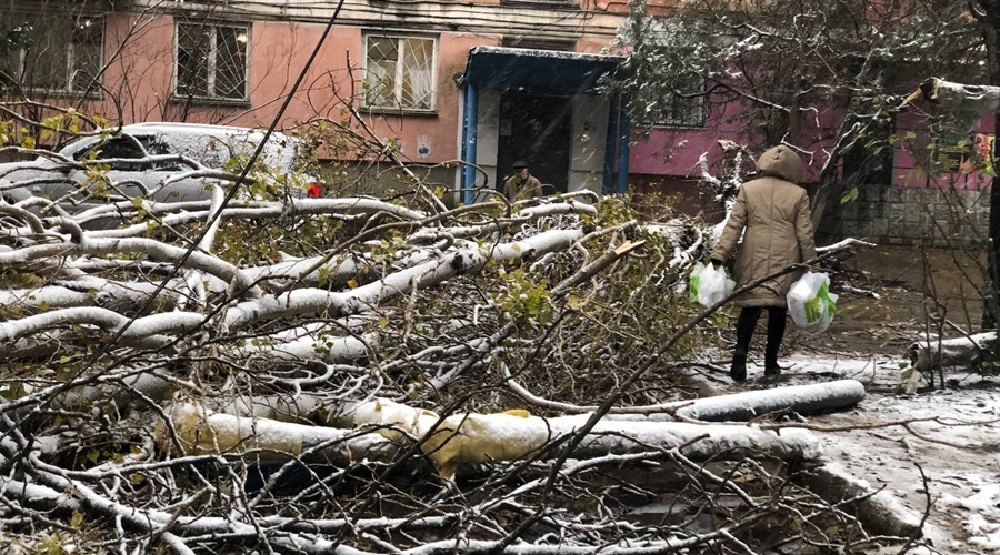 Шторм в Крыму унес жизни пяти человек, еще 12 пострадали – Аксенов