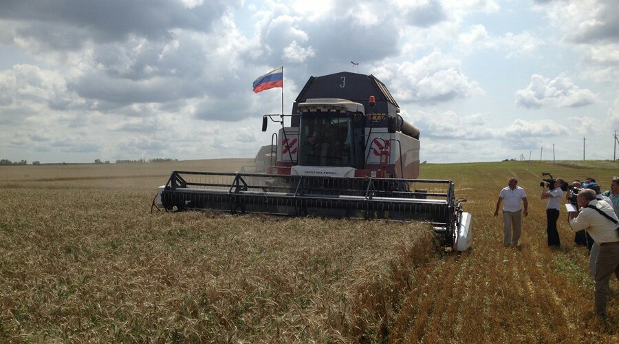 Крымские аграрии планируют в этом году намолотить на 55% больше зерновых