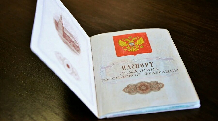 Украинцы чаще других мигрантов получали российское гражданство в 2020 году