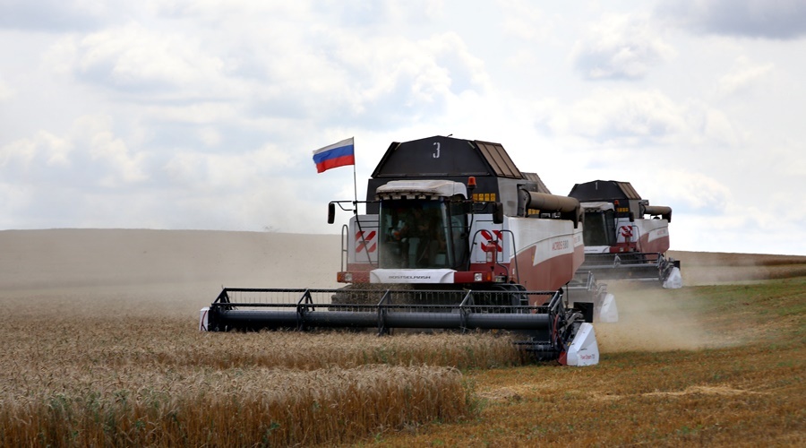 РНКБ выдал 0,5 млрд рублей льготных кредитов сельхозпроизводителям с начала года