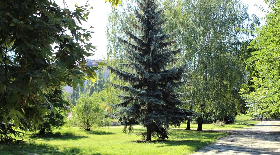 Глава Крыма поручил привести в порядок все парки Симферополя