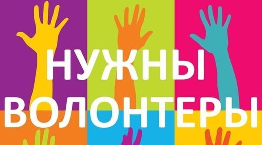 Волонтёров для помощи пожилым гражданам на самоизоляции не хватает в Крыму   