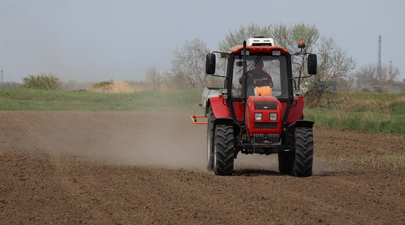Крымские аграрии завершили первый за восемь лет сев риса
