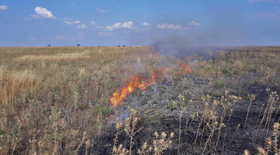 Обрыв ЛЭП стал причиной выгорания 800 кв. м сухостоя в Сакском районе Крыма