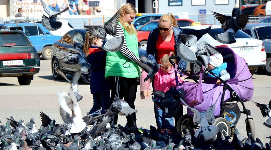 Более полутысячи детей появились на свет в Крыму с начала года